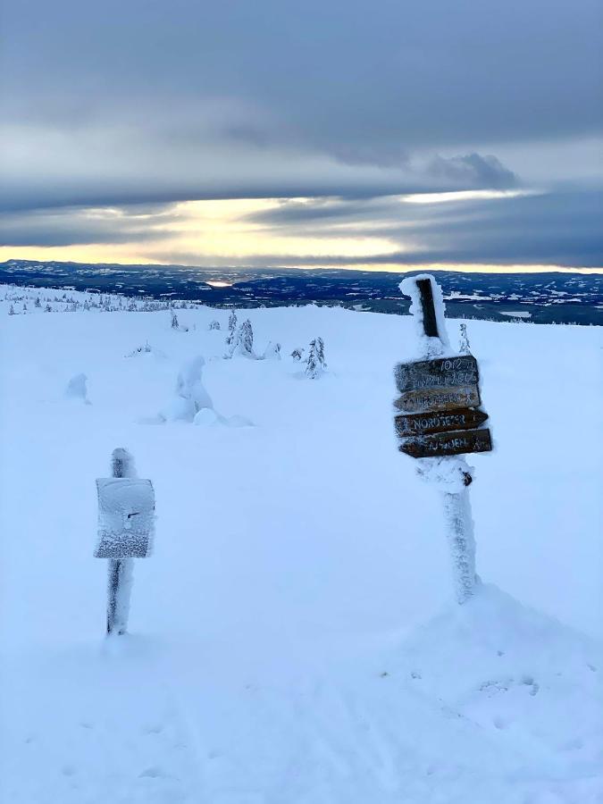 Lys Og Moderne Leilighet Rett Ved Skiloypa Pa Nordseter - Kort Vei Til Sjusjoen, Lillehammer Og Hafjell - Dyr Ikke Tillatt Extérieur photo